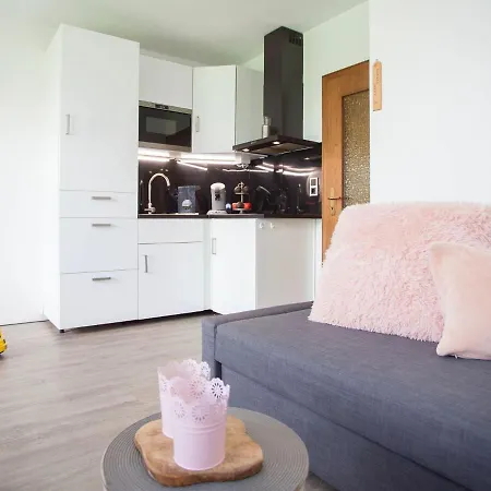 Cosy Apartment In Zueschen With A View Of The Winterberg Mountains ווינטרברג