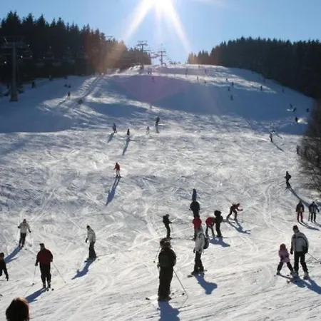 Cosy Apartment In Zueschen With A View Of The Winterberg Mountains ווינטרברג